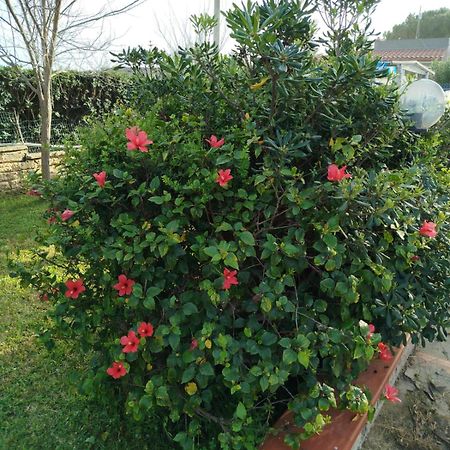 Holiday home Riserva Marina Protetta Syracuse Esterno foto